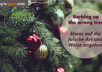 SPIDI Adventkalender Barking up the wrong tree
