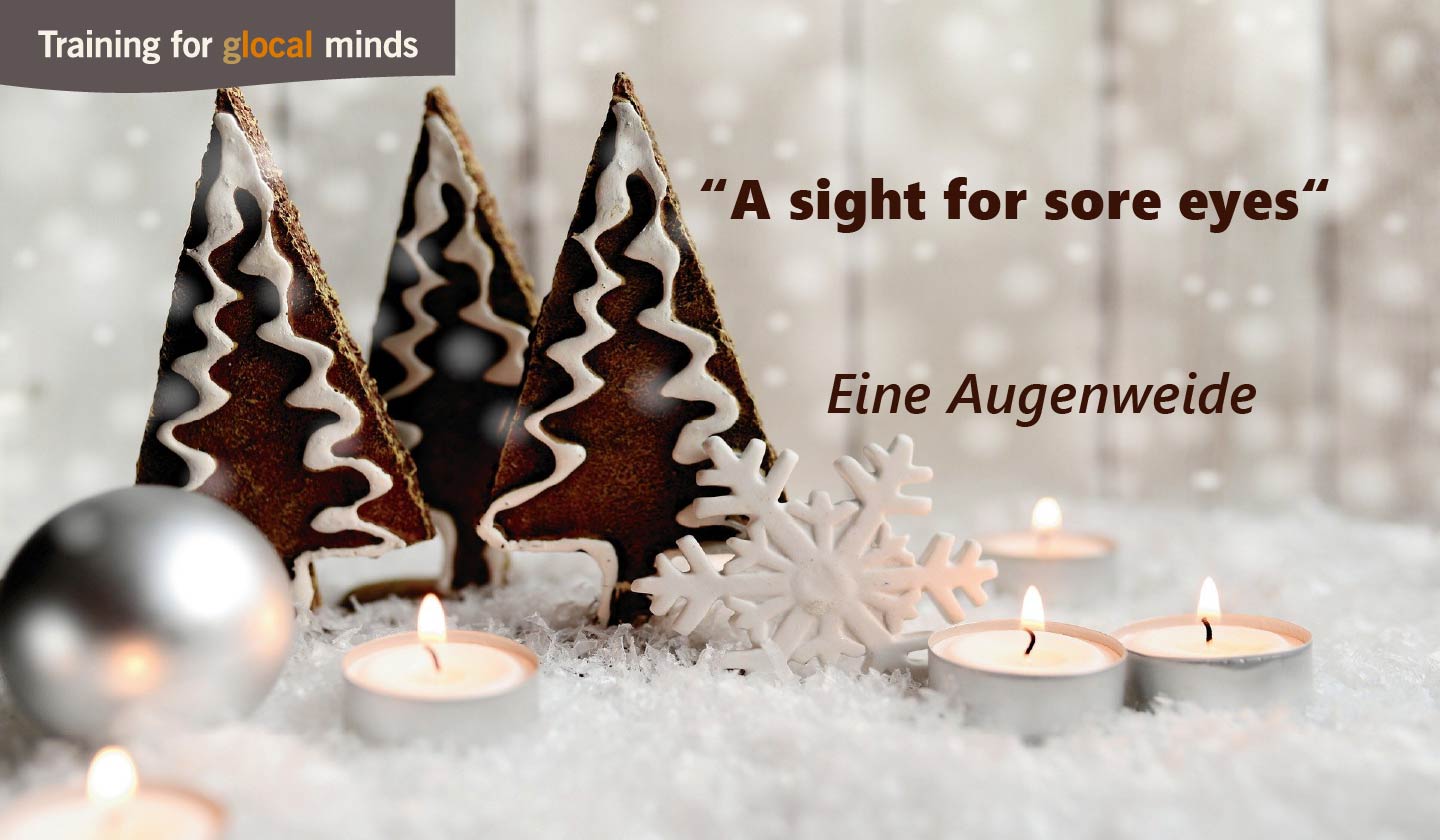 SPIDI Adventkalender Tür 10: “A sight for sore eyes” - eine Augenweide