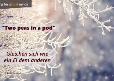 SPIDI Adventkalender Tür 18: “Two peas in a pod” (gleichen sich wie ein Ei dem anderen)