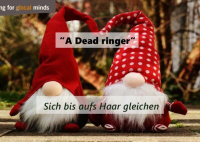 SPIDI Adventkalender Tür 9: “A dead ringer” (gleichen sich bis aufs Haar)