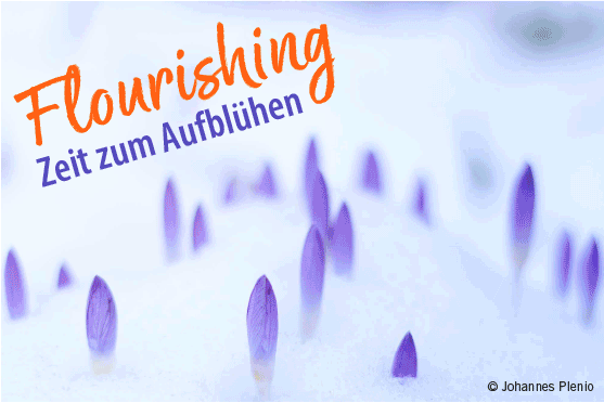 Zu-zweit-Sprachen-lernen-Flourishing Flourishing - Zeit zum Aufblühen -Blumen kommen durch die Schneedecke