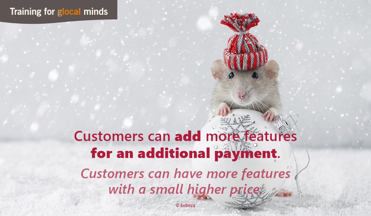 SPIDI Adventkalender Tür 11: Customers can add more features for an additional payment.